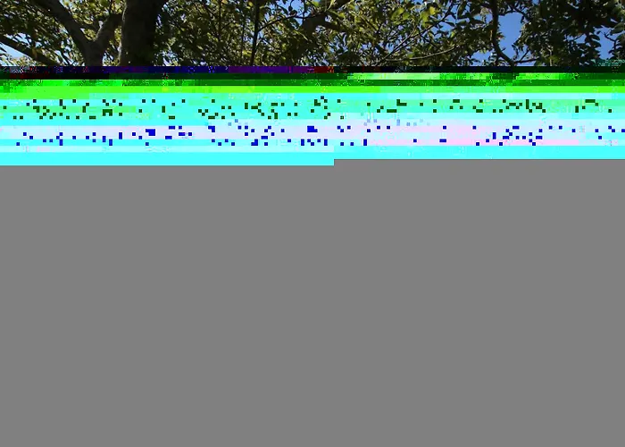 Ferienhaus Zamatelua 1 *